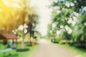 فلل دوبلكس الرياض